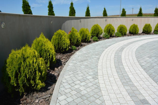 Best Local Driveway Pavers  in Breckenridge, MI